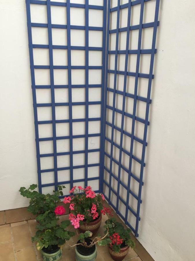 Apartamento Balneario Playa Caleta كاديز المظهر الخارجي الصورة